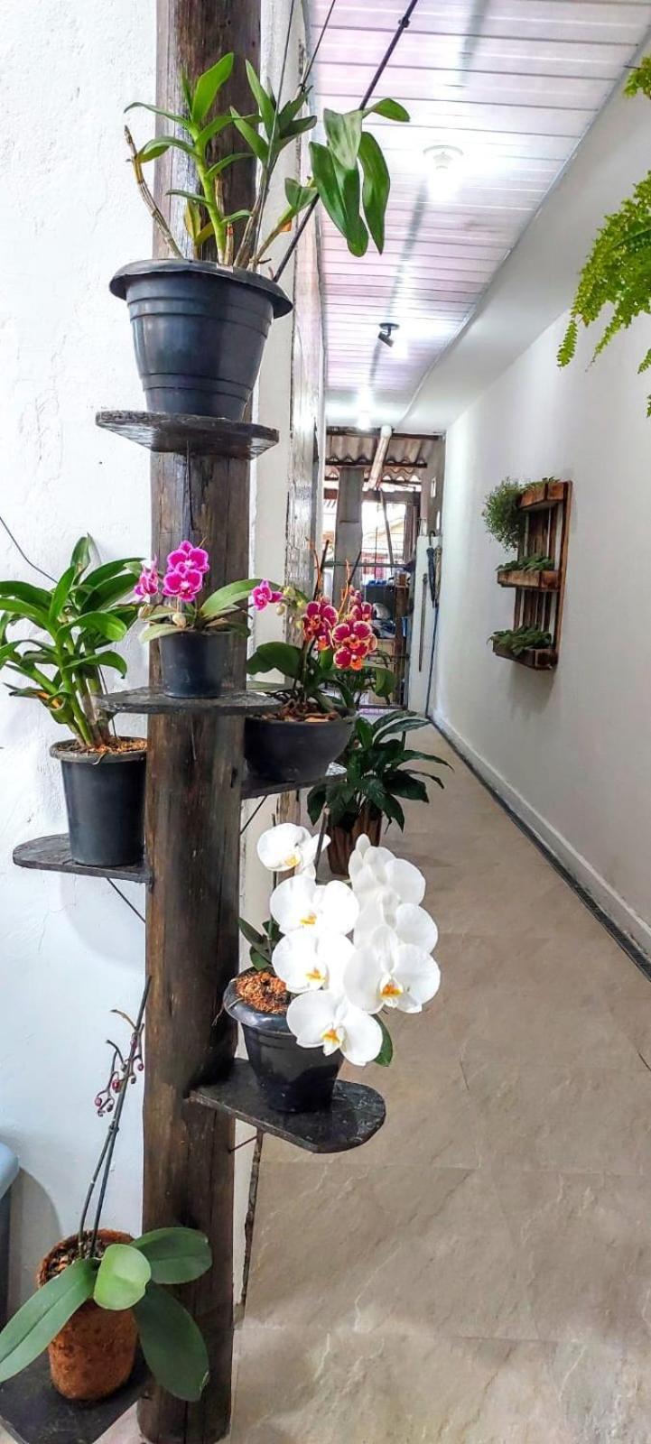 Casa Canto E Aconchego Florianópolis Esterno foto
